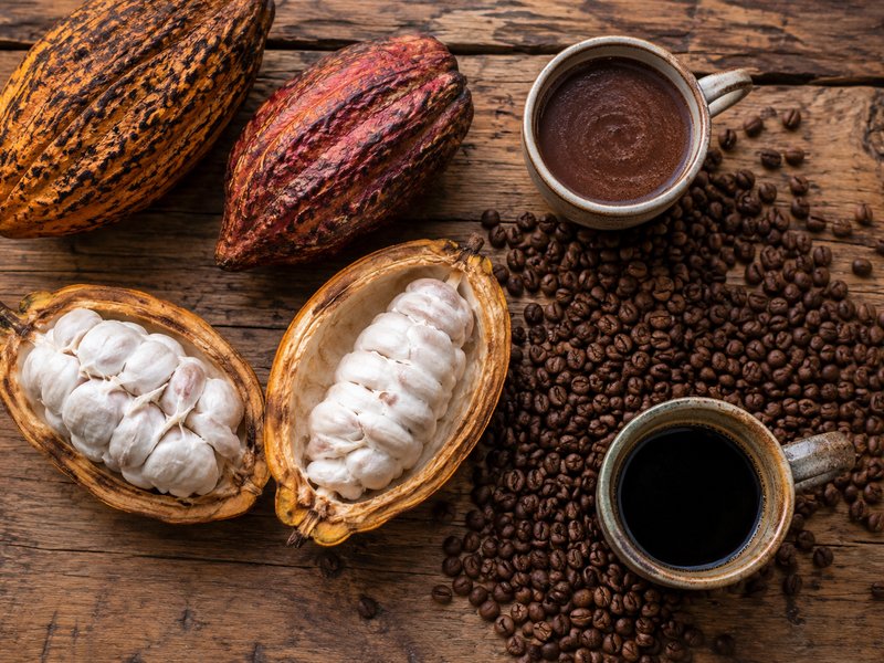 From bean to cup — coffee and cacao